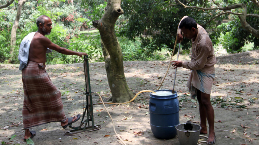 dinajpur_litchi_03.jpg