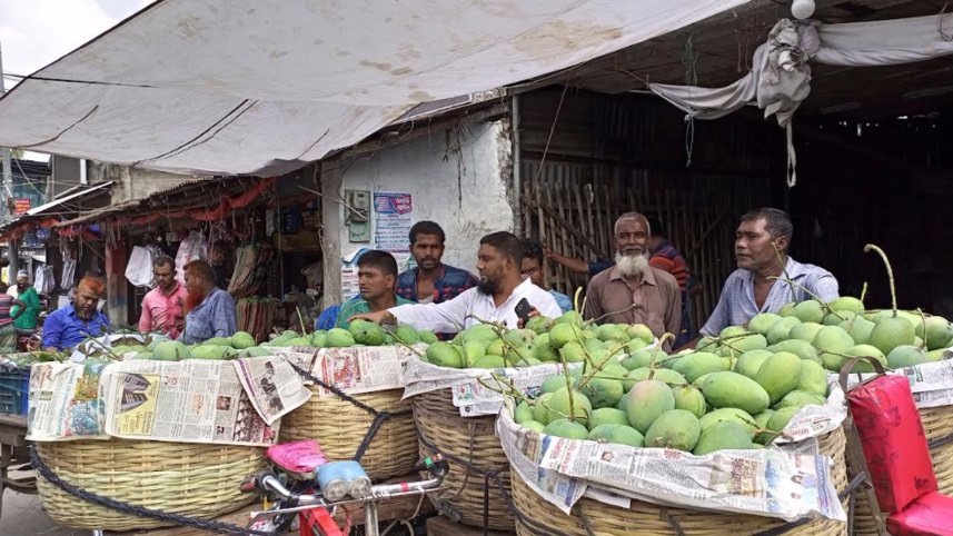 mango-satkhira.jpg