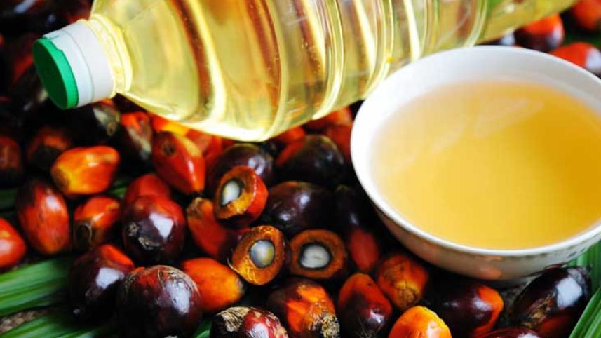 an405-palm-oil-fruit-732x549-thumb.jpg