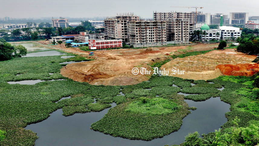 ashkona-1.jpg