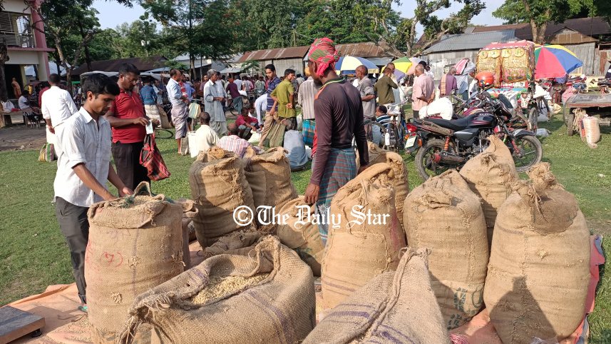 lalmonirhat_paddy_price_2.jpg