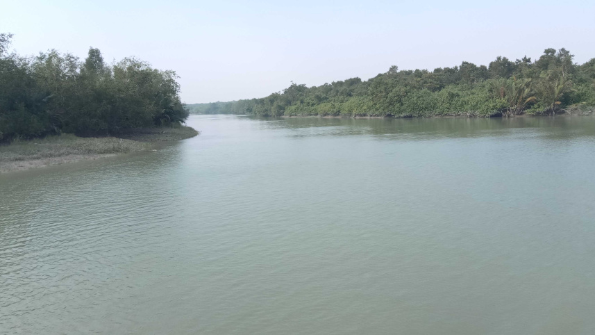 সুন্দরবন