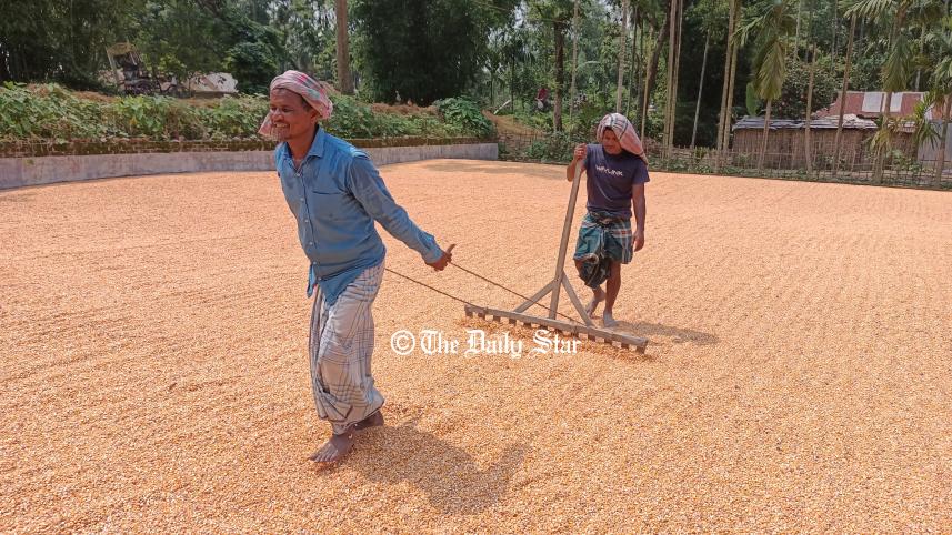 lalmonirhat_chatal_workers-1.jpg