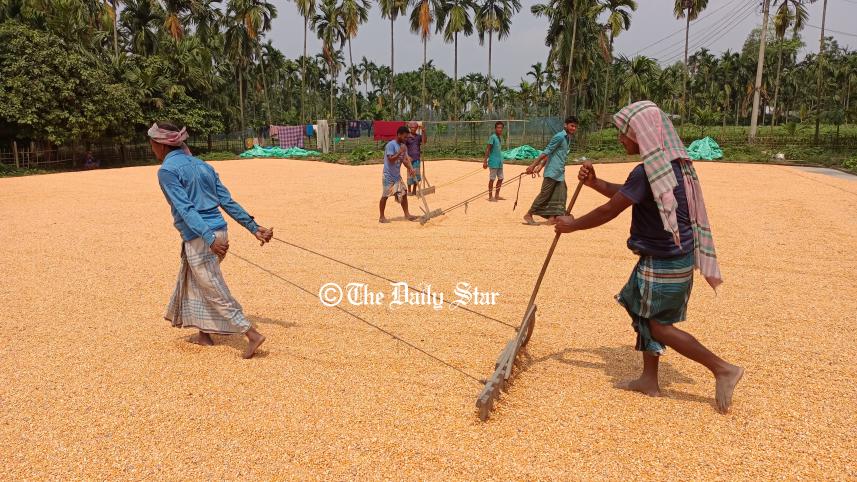 lalmonirhat_chatal_workers-2.jpg