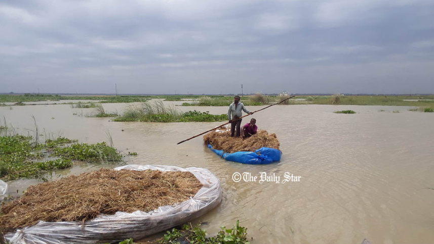 pabna_chalanbeel_photo_2.jpg
