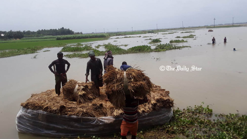 pabna_chalanbeel_photo_3.jpg