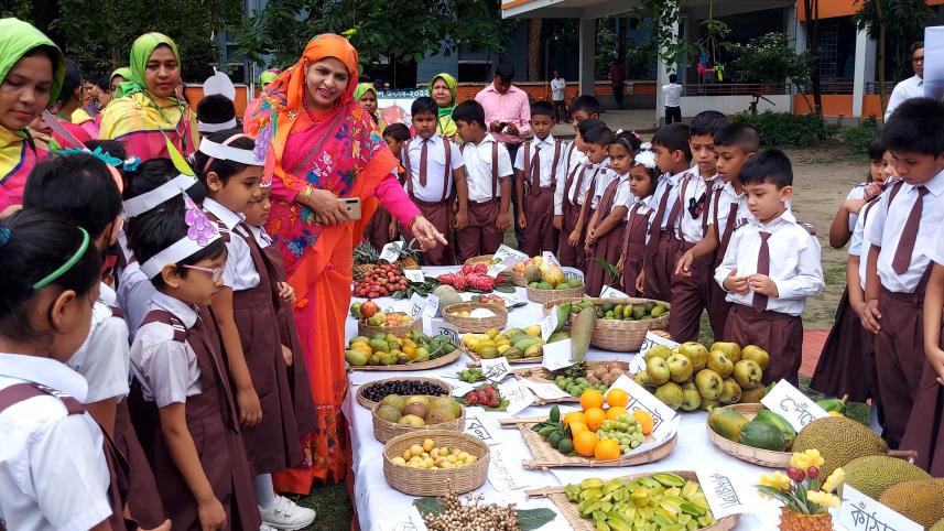 thakurgaon_pic-fruit_festival-01.jpg
