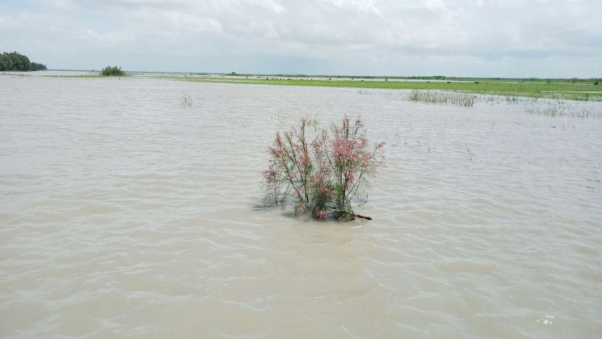 flood_photo-2.jpg