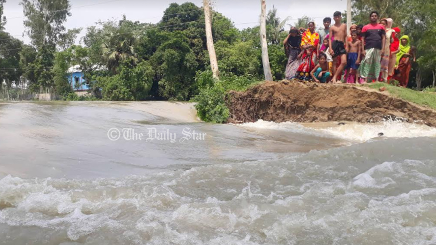 tangail1.jpg
