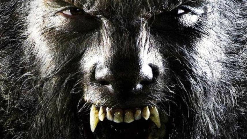 clinical-lycanthropy.jpeg