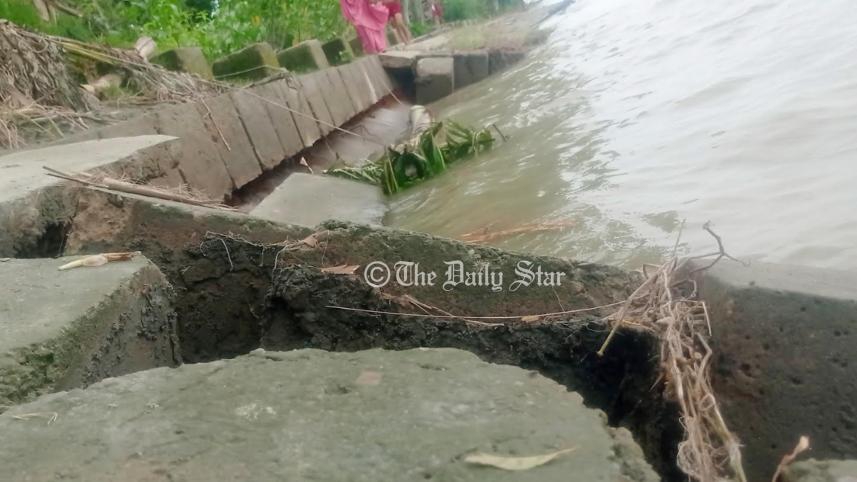 jamuna3.jpg