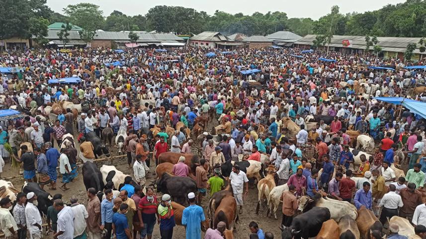 thakurgaon_cow_hut.jpg