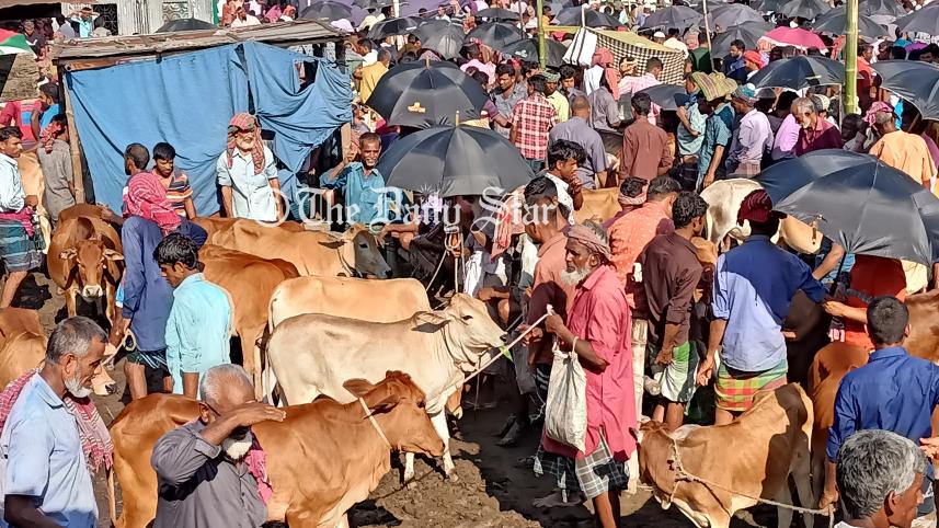 lalmonirhat_cattle_market.jpg