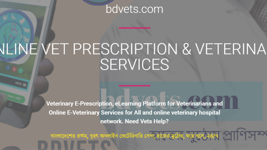 veterinary.jpg