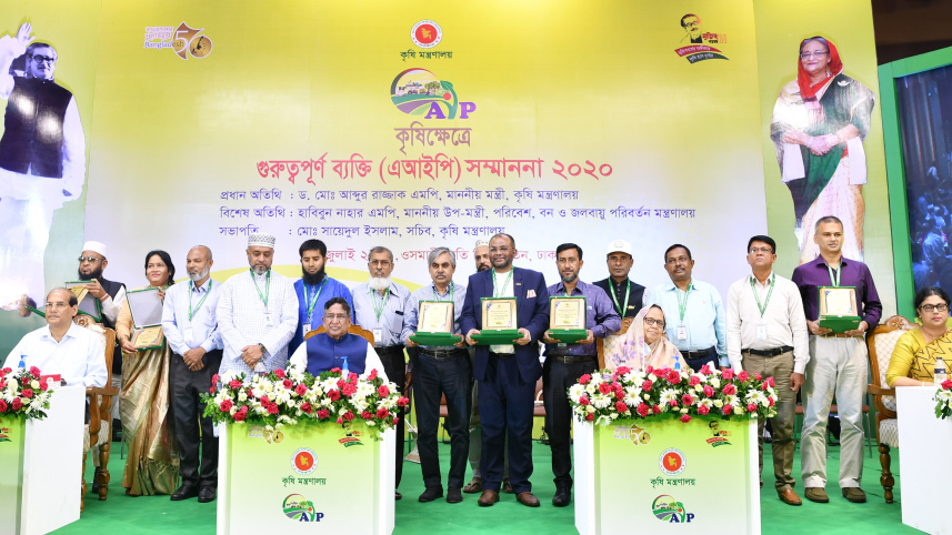 এআইপি