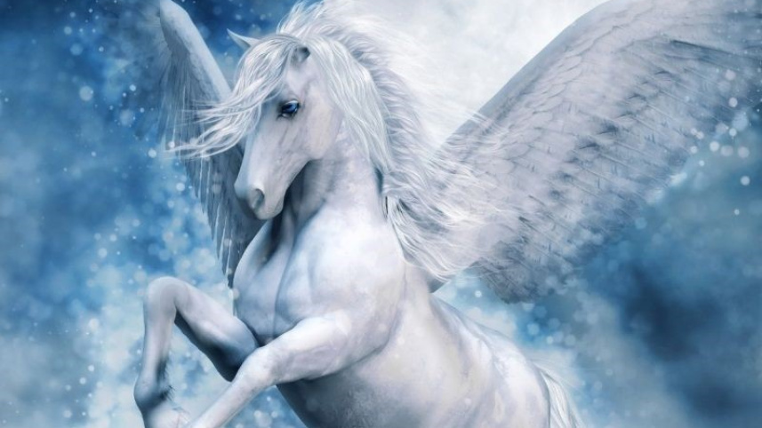 horse_4.jpg