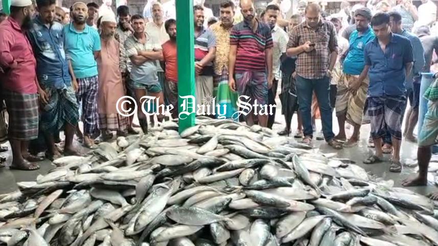 ইলিশ