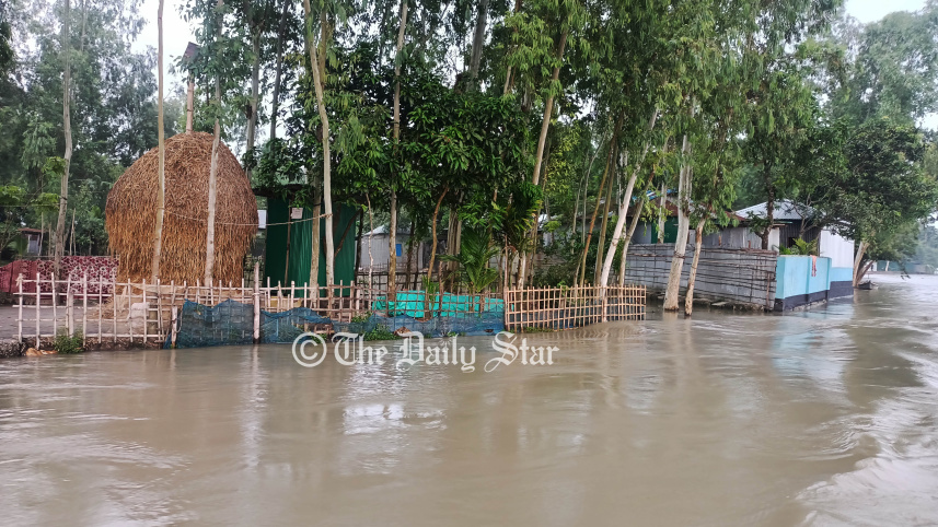 তিস্তা