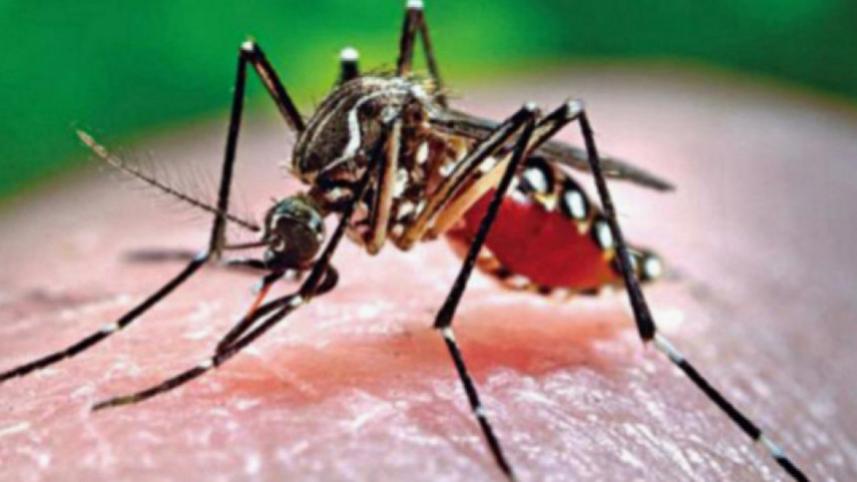 ডেঙ্গুতে মৃত্যু