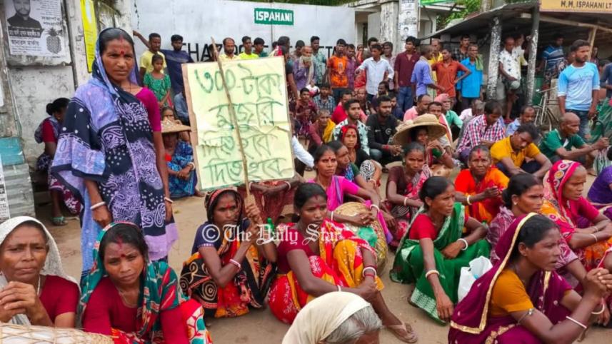 চা-শ্রমিক