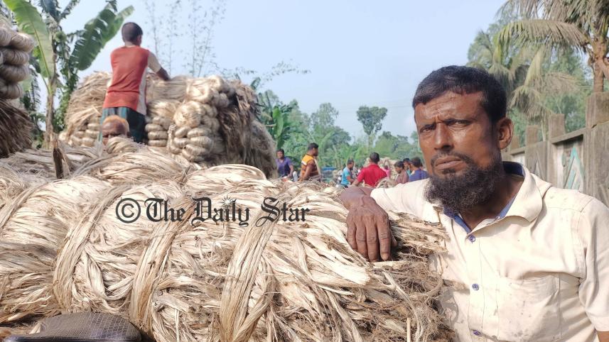 পাট