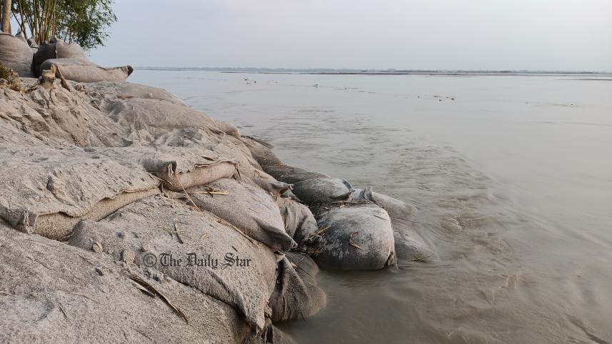 tista-111.jpg