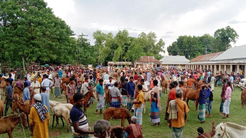 jamalpur.jpg