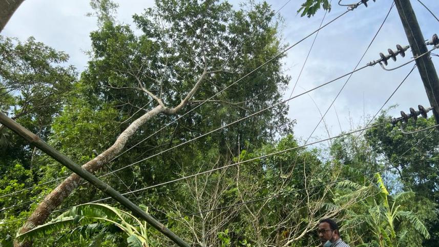 whatsapp_image_2022-10-26_at_20.37.46.jpeg