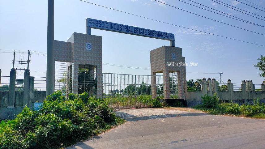 বিসিক