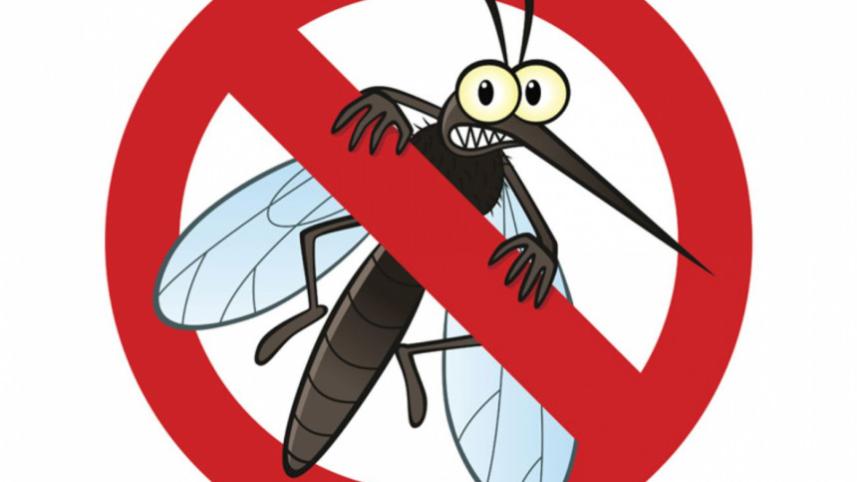 mosquito_problem.jpg
