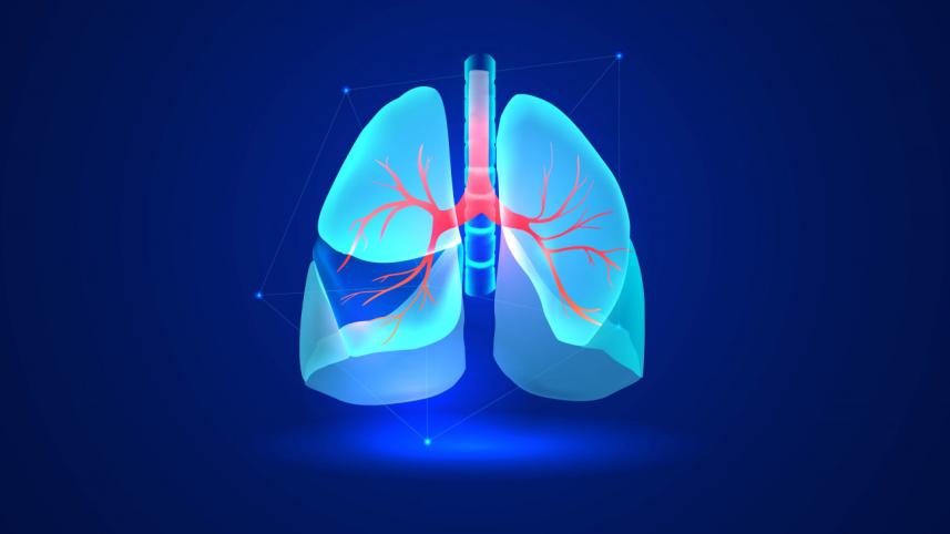 75_die_in_respiratory_illnesses.jpg