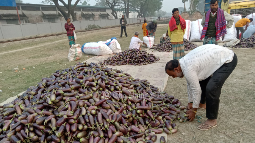 বেগুন.jpg