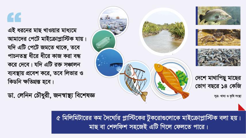 plastic_and_fish-01.jpg