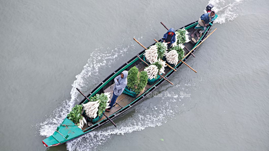 shankho-1.jpg