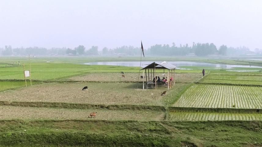 kurigram_govt_primary_school-02_1.jpg