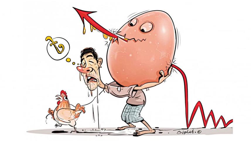 egg.jpg