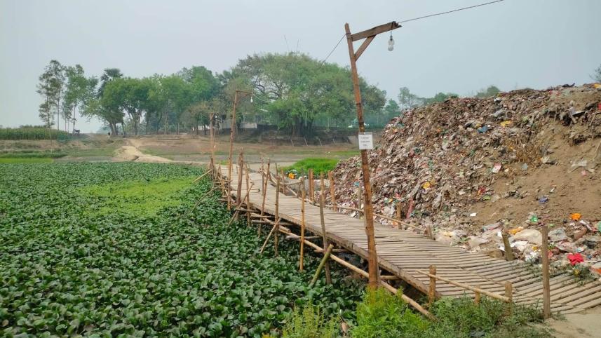 tmss_bogra_1.jpg