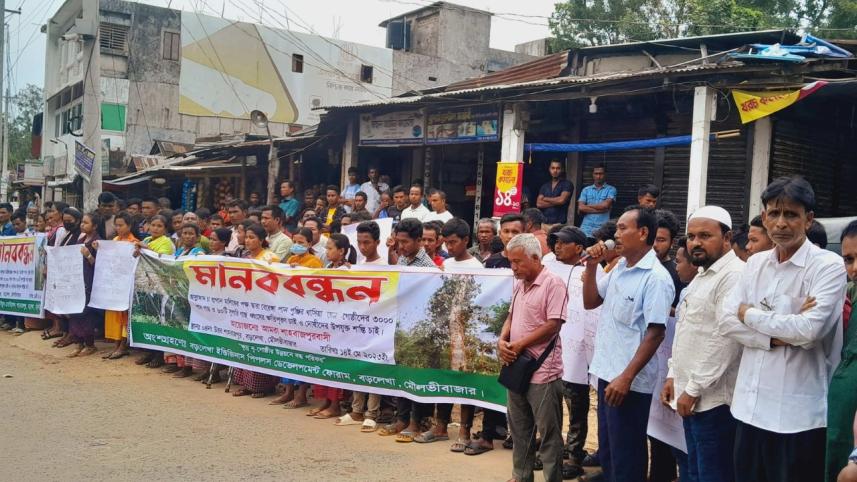 পানগাছ.jpeg