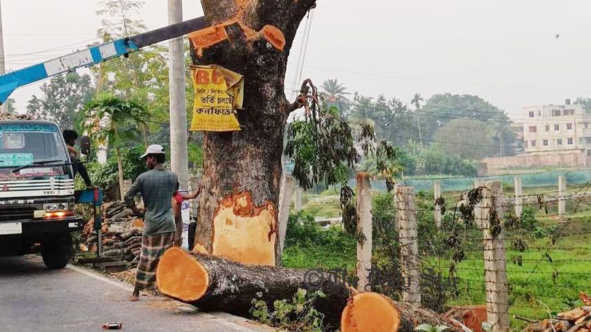 tangail2.jpg