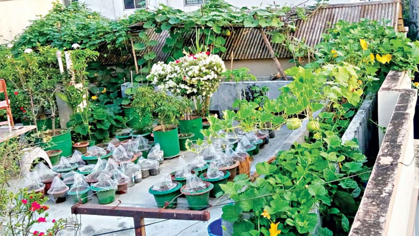 rooftop_garden.jpg