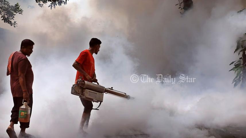 dengue-main-pic.jpg