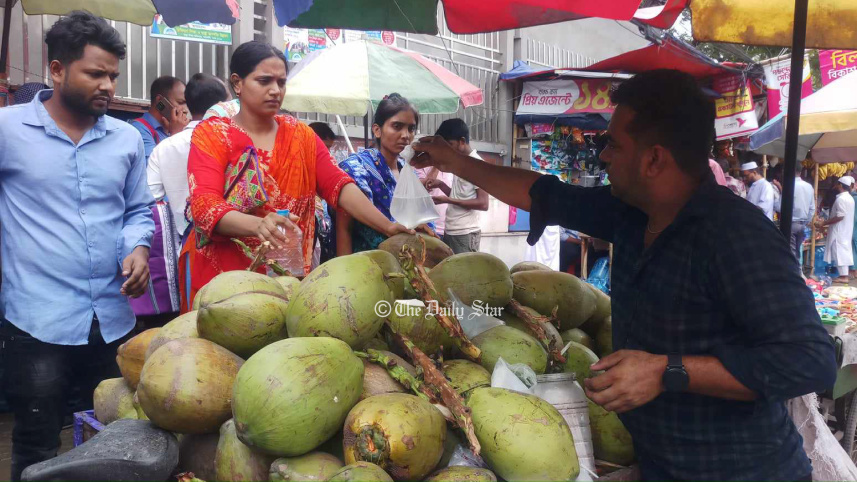 coconut_1-01.jpg