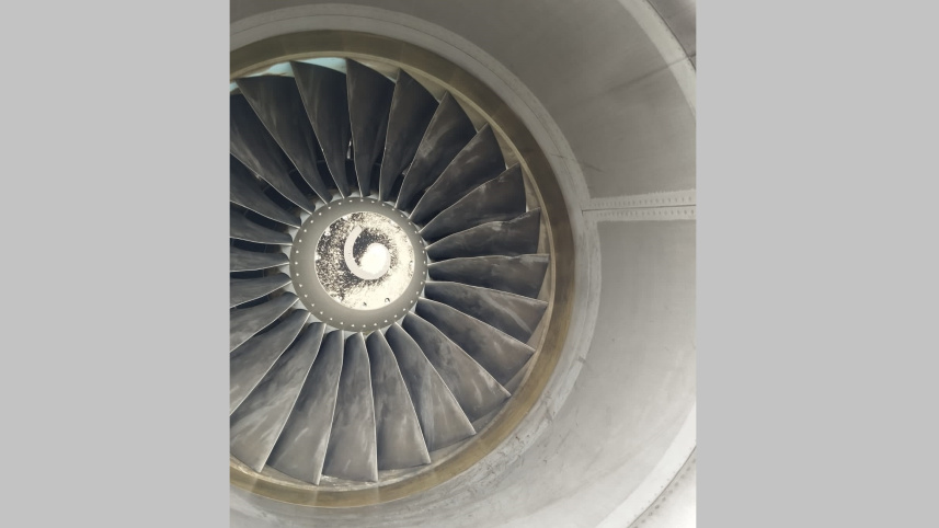 bird_strike_at_shahjalal.jpg