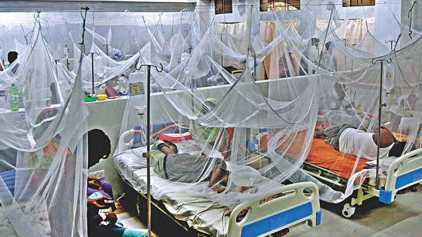 dengue.jpg