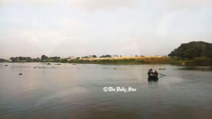 কাশফুল