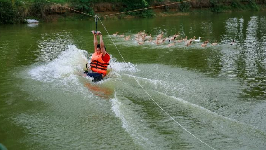 capturer3.jpg
