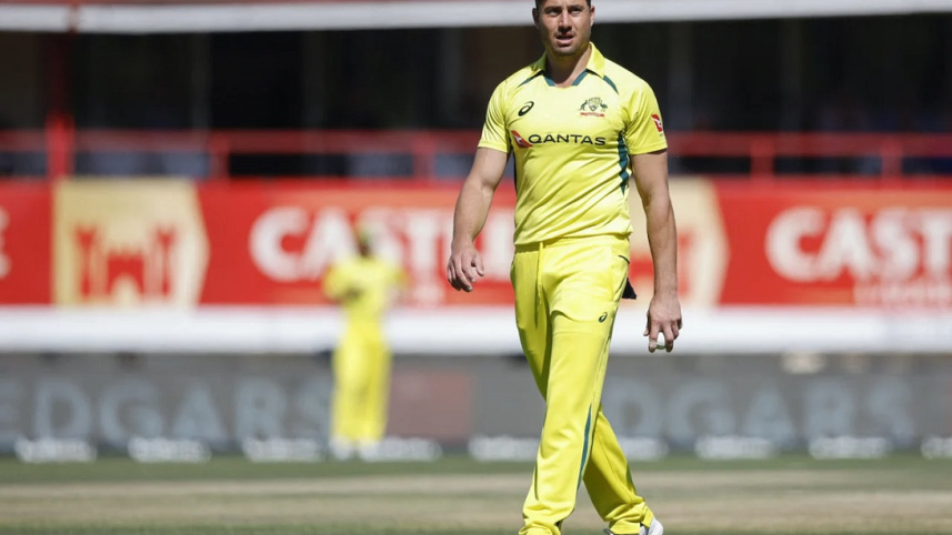 stoinis.jpg
