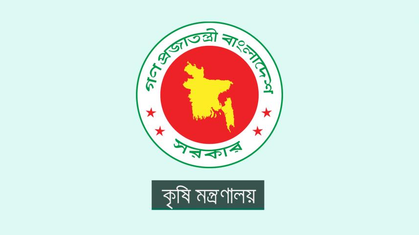 বোরো মৌসুম, হাইব্রিড ধান চাষ, কৃষি মন্ত্রণালয়, ধান,