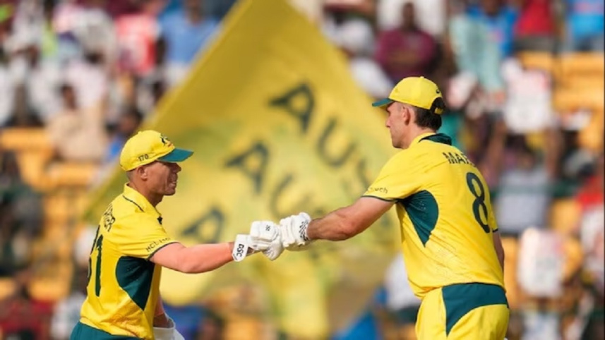 mitchell starc and david warner