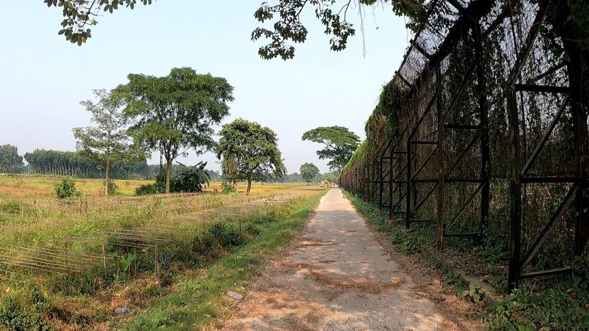 Gede DHarshona road